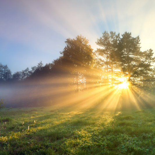 Never Give Up: The Power of Dreams and Resilience