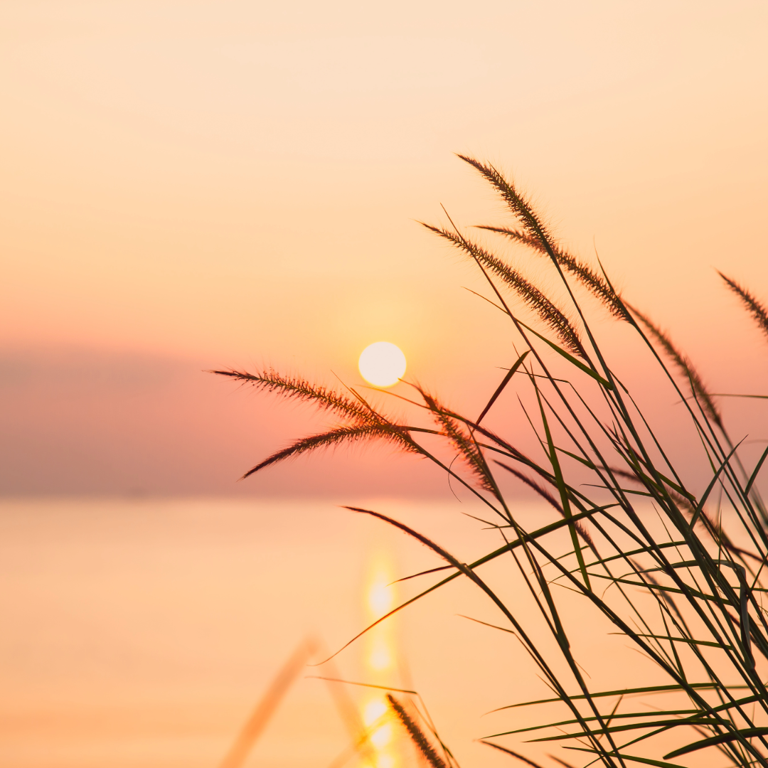 Believe in Possibility: As Abundant as the Air, As Certain as the Sun