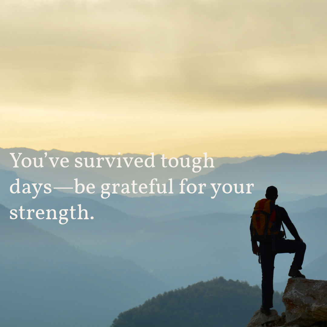 The Warmth of Gratitude: A Light Reflection on Being Thankful