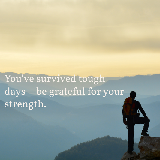 The Warmth of Gratitude: A Light Reflection on Being Thankful