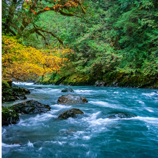 Go With the Flow: Living Life With Purpose and a Light Heart