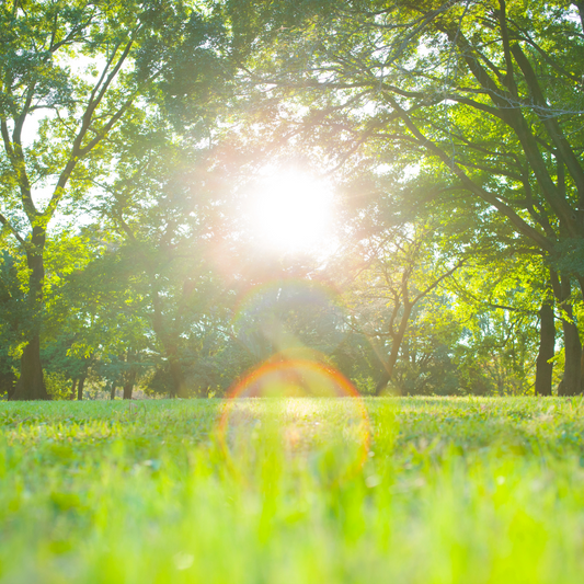 Inspire Yourself: Simple Ways to Stay Happy and Motivated