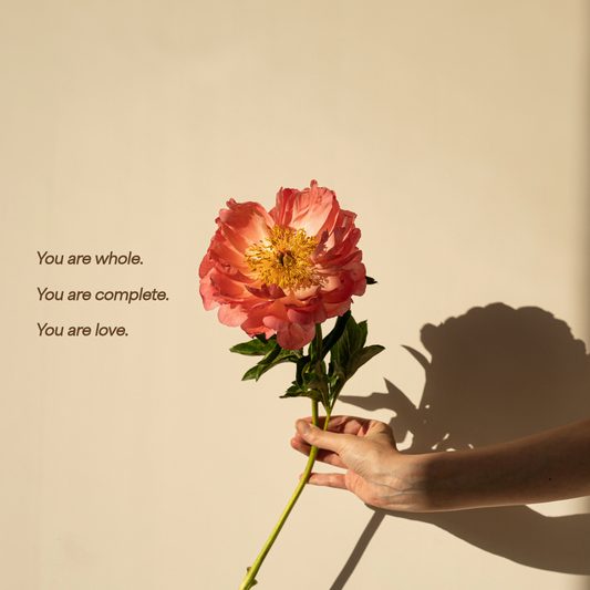 The Love You’ve Been Searching For Was Never Outside of You