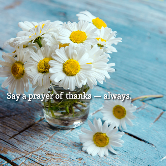 When Life Feels Heavy: Gentle Things to Do in Every Season