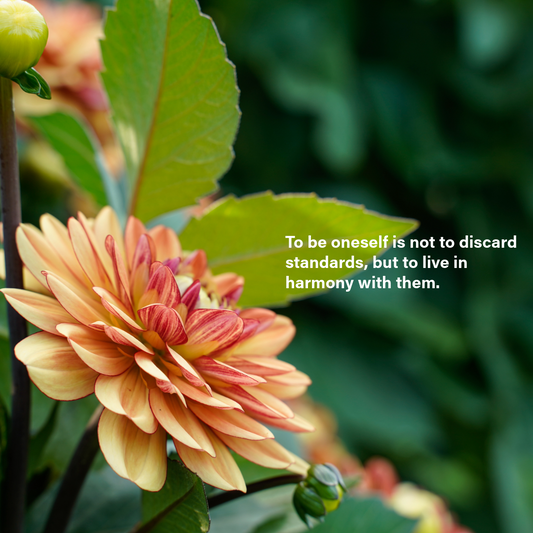 On Being Oneself Without Losing One’s Self