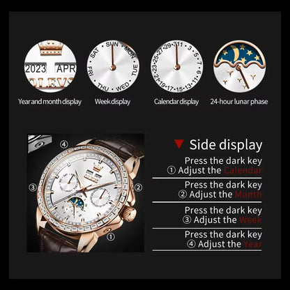 OLEVS 6695 Men's Luxury Watch - Automatic Mechanical, Waterproof, Business Dress Style