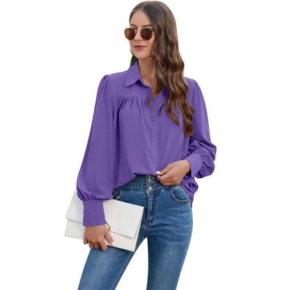 Women's Pleated Chiffon Shirt - Long-Sleeve Top Shaira