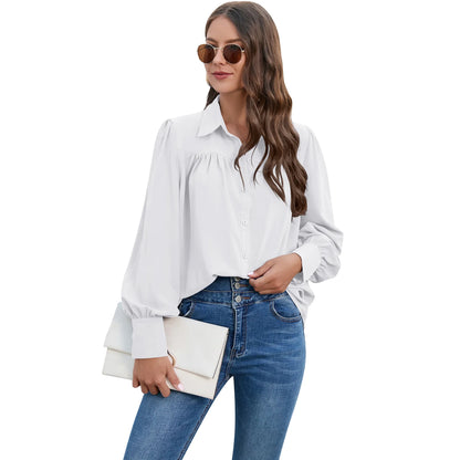 Women's Pleated Chiffon Shirt - Long-Sleeve Top Shaira